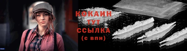 mdpv Новозыбков